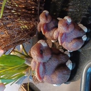 Pottery Barn Bunny candles (3)